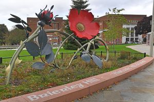 Love your neighbourhood, Brierley Hill.