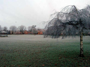 Supporting image for story: Shropshire shivers as temperatures drop to -3C