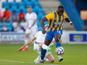 Supporting image for story: AFC Telford United to face Shrewsbury and Walsall in pre-season