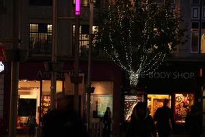 The tree lights along Dudley Street