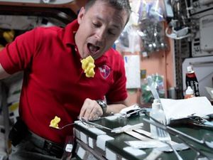 Supporting image for story