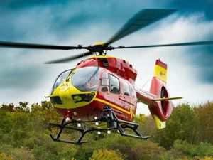 Supporting image for story: Ludlow farm worker died after large tree fell on him, inquest hears