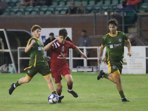 Supporting image for story: John Griffiths: AFC Wolverhampton City not resting on laurels after strong start