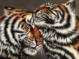 Supporting image for story: Triple the talent brings artistic recognition for Shrewsbury triplets
