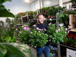 Supporting image for story: Green & Bloom chooses Lye for a regional hub