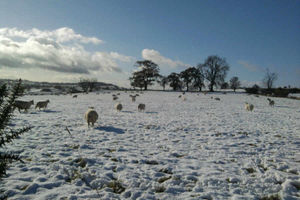 Supporting image for story: Claire Dunn: I only have warmest memories of the big chill