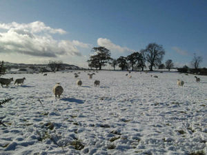 Supporting image for story: Claire Dunn: I only have warmest memories of the big chill