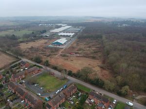 Supporting image for story: Site of tree felling is visited by inspectors