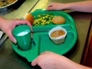 Supporting image for story: Council refutes fear over Shropshire school meals