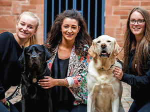 Supporting image for story: Cuddling a dog helps beat stress for Shrewsbury students