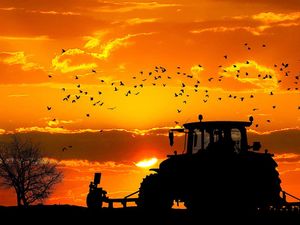 Supporting image for story: Shropshire farmers urged to help shape future decision making 