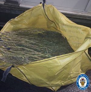 Part of the haul which was retrieved from the car in Solihull