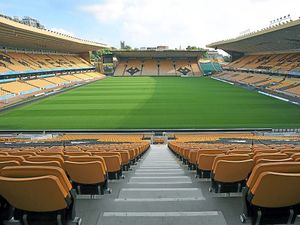 Supporting image for story: Leicester City tributes planned at Molineux