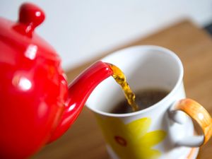 Supporting image for story: Man who sold ordinary tea as unique Scottish variety found guilty of fraud