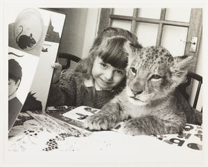 West Midlands Safari Park lion cub Joe was abandoned at birth by his mother, but a deputy warden at the Safari Park, Ian Dan-Netscher, brought him home to Newport in Shropshire and looked after him, as he had done previously for lioness Rosie and tigress Melody who featured on the BBC's Really Wild Show. The photograph shows Kathryn Dean-Netscher with the lion cub in January 1983.