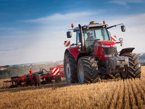 Supporting image for story: Suppliers have raised price since Brexit vote