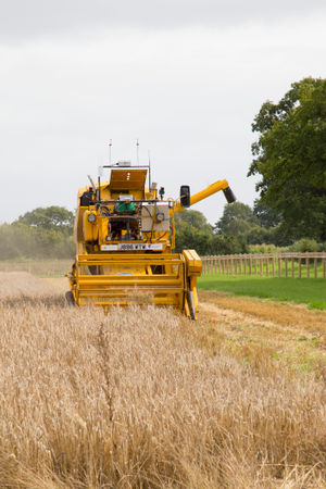 Remote-controlled tractors tended the crop from start to finish