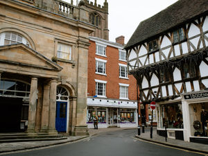 Supporting image for story: Shropshire Survey