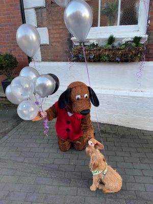 Veterinary nurse at Bridgnorth Veterinary Centre Kayleigh Smart helping to celebrate the practice's birthday