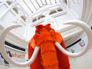 Supporting image for story: Mammoth fun to be had at intu Merry Hill this weekend