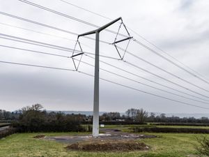 Supporting image for story: Households living near new pylons could get £250 a year off bills for a decade