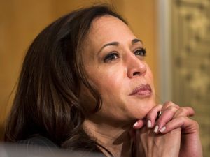 Supporting image for story: Kamala Harris looks to seal Democratic nomination after Joe Biden steps aside