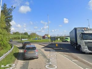 Supporting image for story: Wildlife leaders rejoice as road schemes scrapped over environment concerns