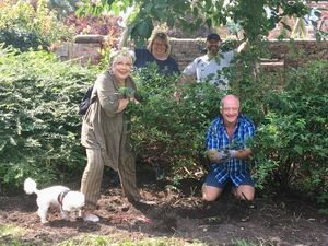 Supporting image for story: Green fingered volunteers in Ellesmere prune Cremorne Gardens