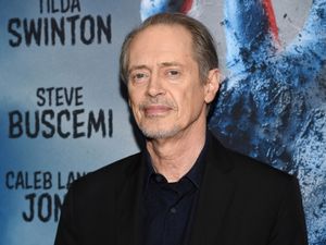Supporting image for story: Man charged over random assault on actor Steve Buscemi in New York
