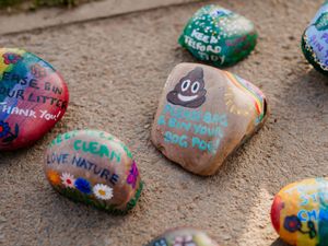 Supporting image for story: Colourful reminder for litterbugs