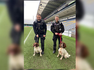 Supporting image for story: "One of the hardest skillsets" as force dogs trained to find bodies in water