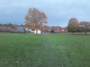 Supporting image for story: Hopes Ludlow green space saved from development could have permanent protection