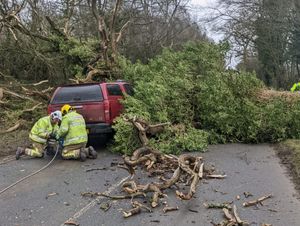 A tree landed on a car on Port Lane, Brewood, on Friday. Photo: South StaffsPolice