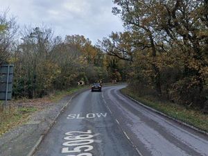 Supporting image for story: Fallen tree blocks busy road into Shrewsbury
