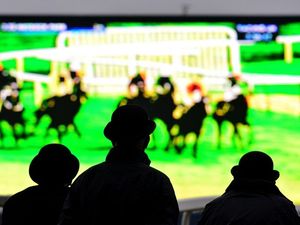 Supporting image for story: OnePlus goes beyond smartphones with plans to launch a TV