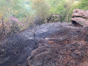 Supporting image for story: Barbecue blamed for large woodland fire near Wem  