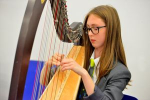 Anya Bradshaw plays the harp during the ceremony