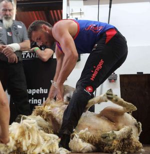 Gethin shearing
