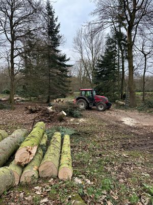 Wet ground has made it tough for heavy machinery to clear fallen trees. Picture: Gareth Juleff/National Trust.