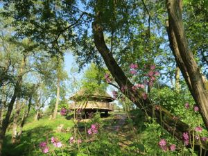 Supporting image for story: Business based near Tenbury Wells proves it is top of the tree