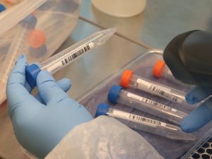 Supporting image for story: New Covid-19 hospital death reported 