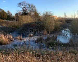 The duck pond in Shrewsbury