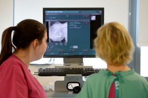 Checking one of the x-rays