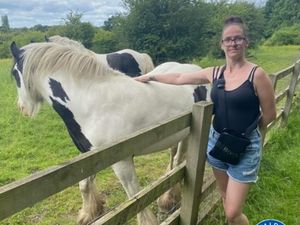 Supporting image for story: Tributes paid to ‘amazing’ woman killed by American bulldog in Coventry