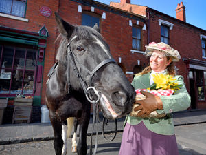 Supporting image for story: Black Country Living Museum given £1.1m of 'lifeline' funding