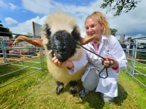 Supporting image for story: Thousands descend on Burwarton Show - with video and pictures