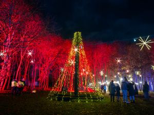 Supporting image for story: Popular winter lights festival set to return to National Memorial Arboretum