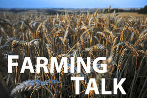 Supporting image for story: Wet weather will have washed away nutrients