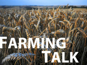 Supporting image for story: Wet weather will have washed away nutrients