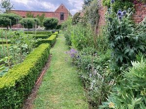 Supporting image for story: New garden open in Llanymynech for the National Garden Scheme